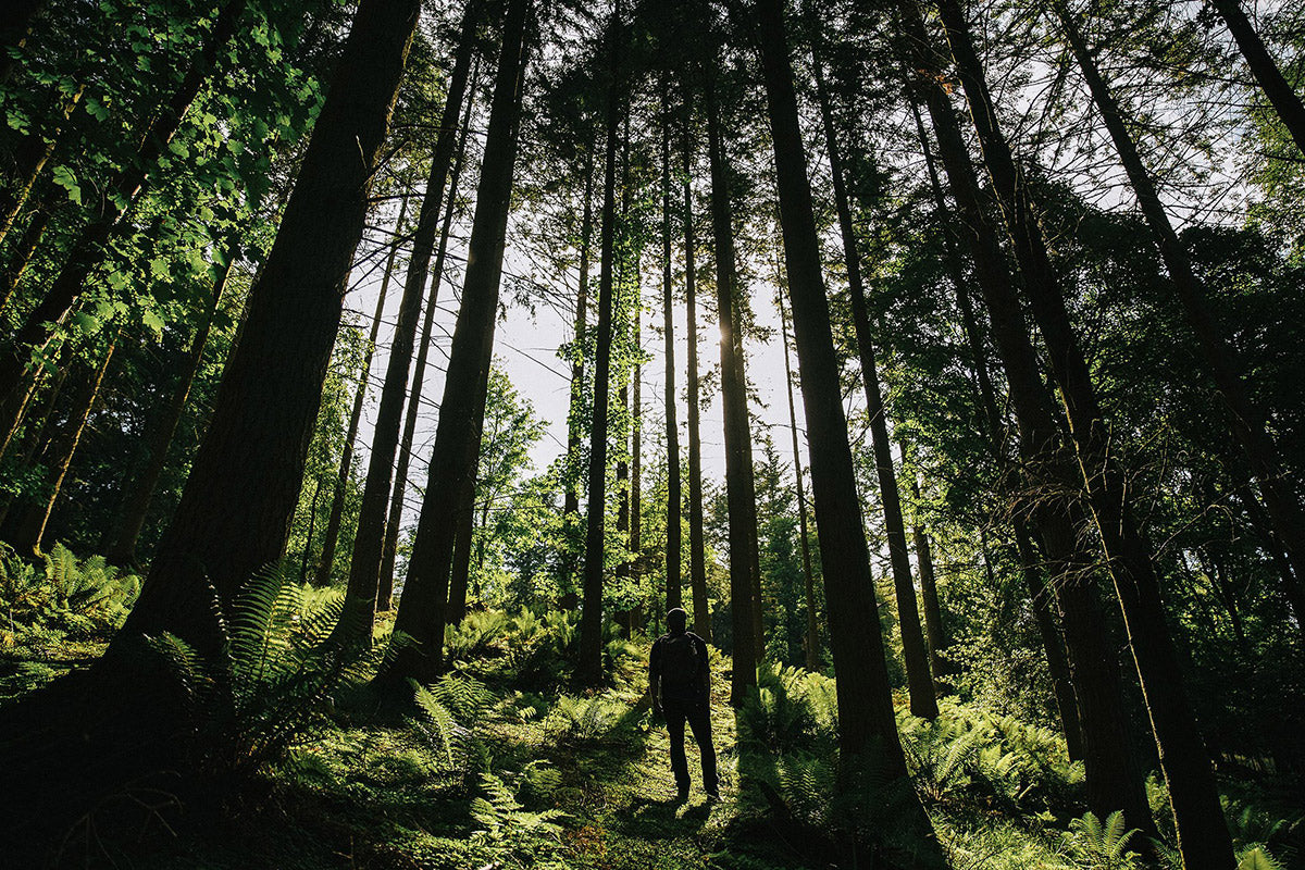 Sharing Stories: Millican - A collective of conscious travellers