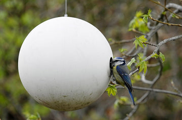 birdball birdhouse nest box