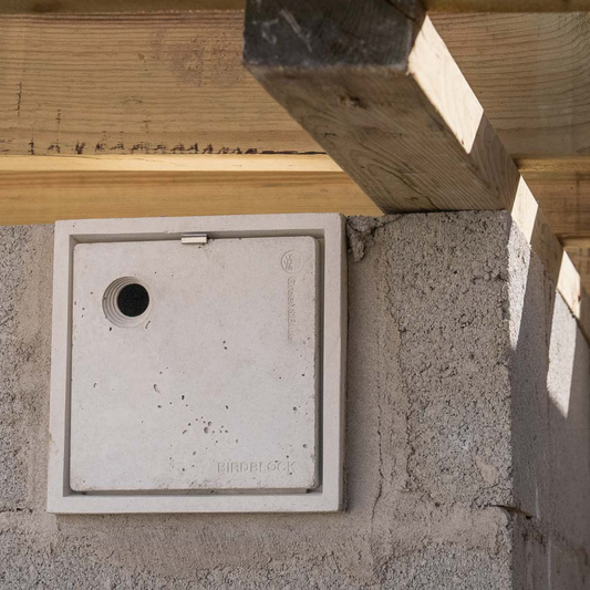 Bird Block | Nest Box