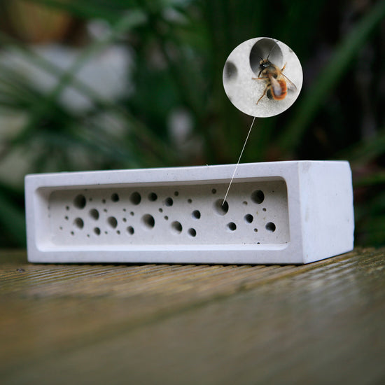 Bee Brick bee house in bee friendly garden with solitary bee