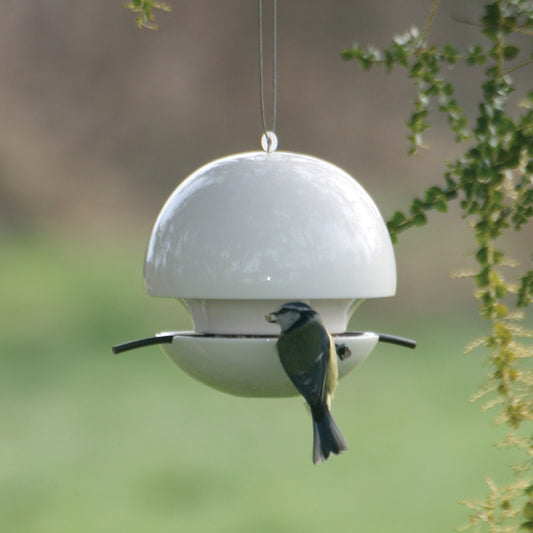 Birdball Seed Bird Feeder