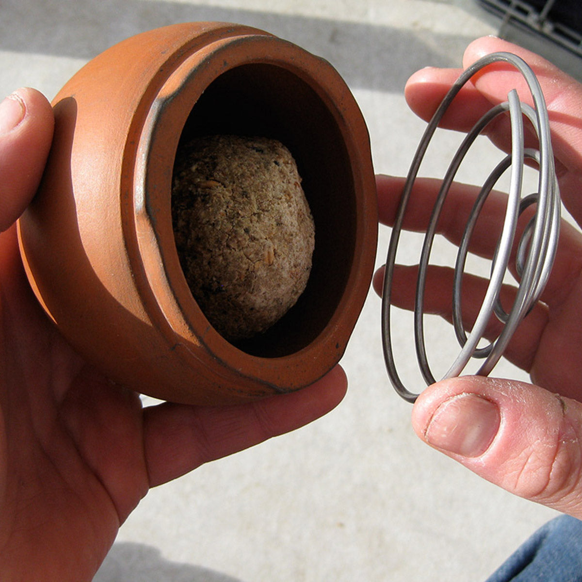 Filling a birdball belle bird feeder