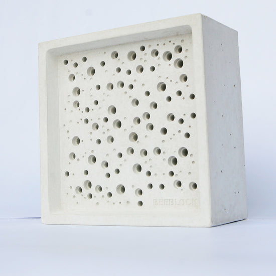 white background shot of large bees block