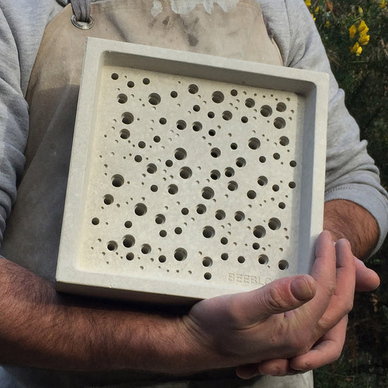 large bees block in hands