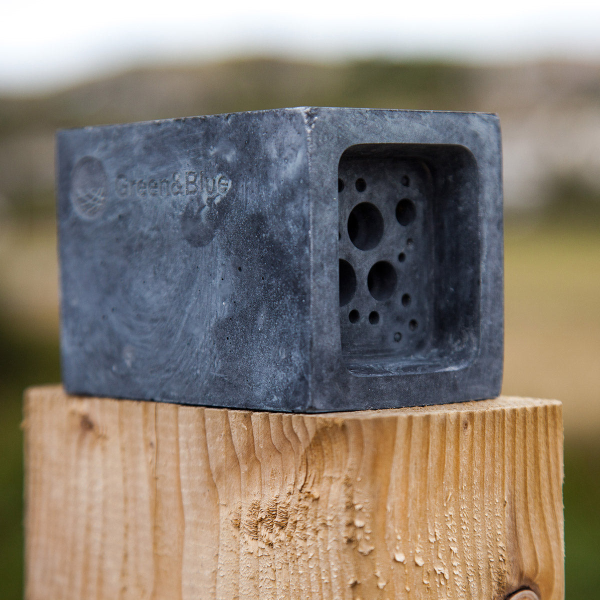 charcoal bee block in garden on fence