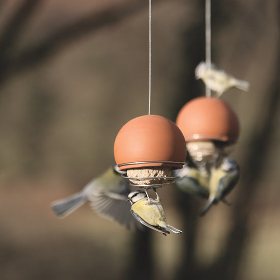 an example of terracotta bird feeders in a rustic garden