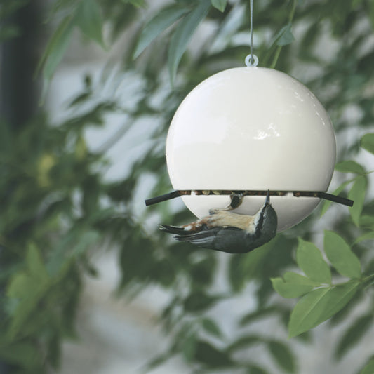 Birdball Peanut Bird Feeder