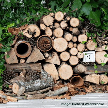 As Seen at RHS Chelsea Flower Show 2026
