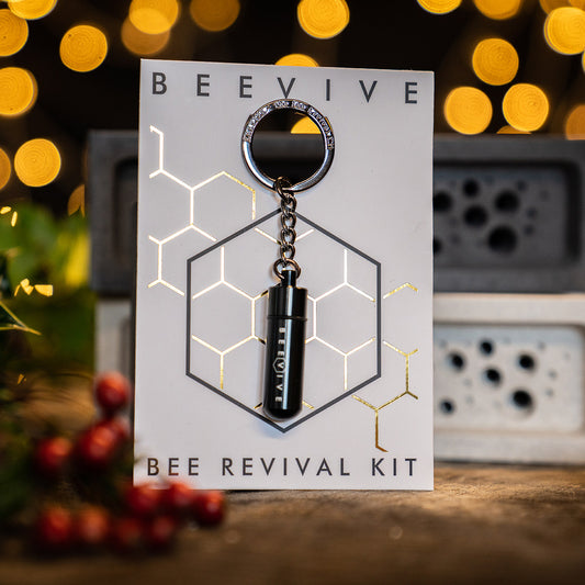 Beevive Bee Revival Kit for tired bees