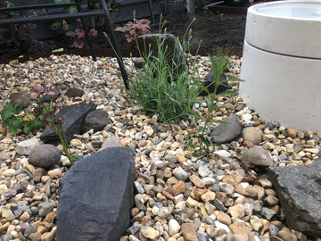 Modern concrete BirdBath in shingle garden