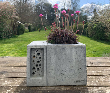 Charcoal beepot bee house and planter with bee friendly planting