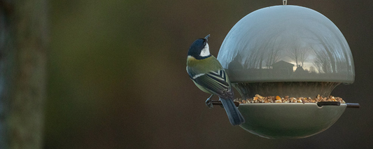 Great tit on a Green&Blue grey birdball seed bird feeder