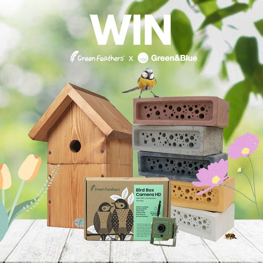 Win a bundle for the Birds and the Bees
