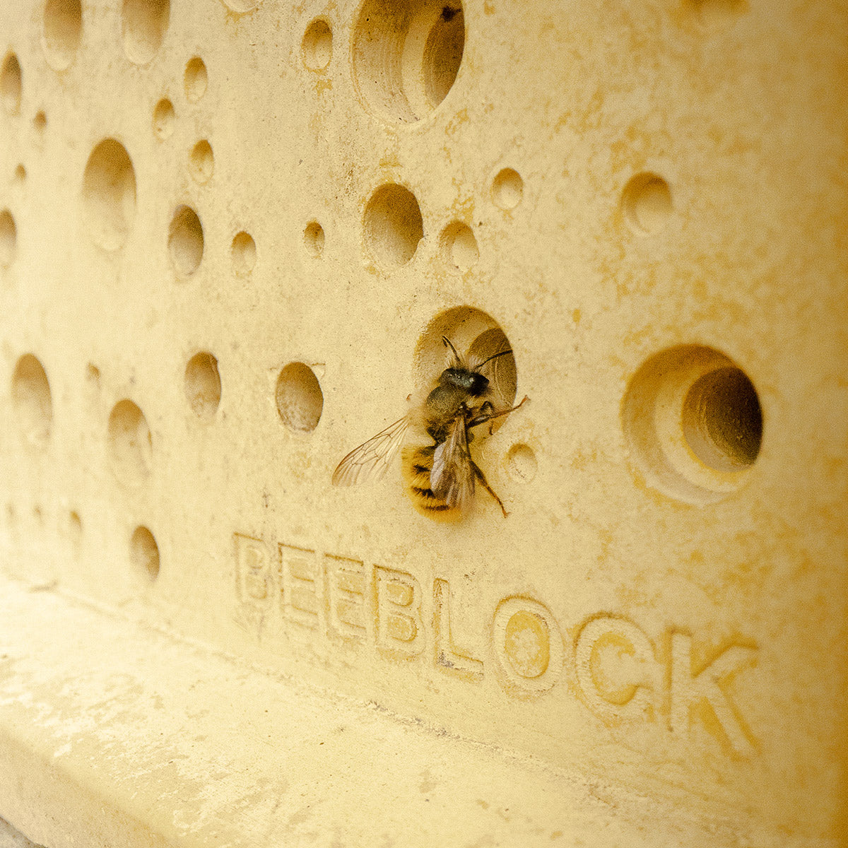 Bee Block Sign Limited Edition Bees Block is now available in yellow! – Green&Blue