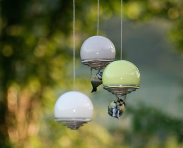 Big Garden Birdwatch