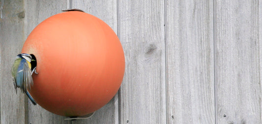 birdball birdhouse in use