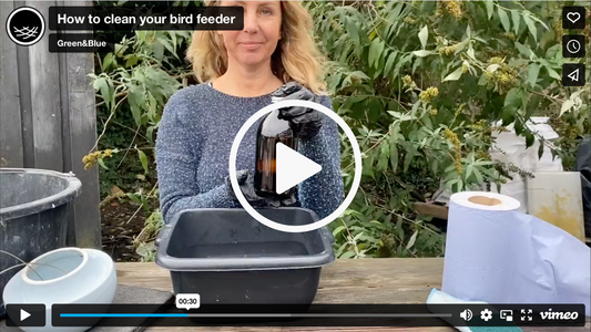 How to clean your bird feeder