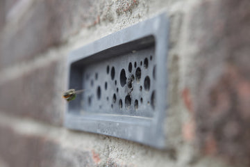 leafcutter heading into imperfect bee brick solitary bee house