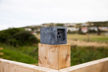 Where to put your bee brick