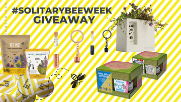 Solitary Bee Week Giveaway!