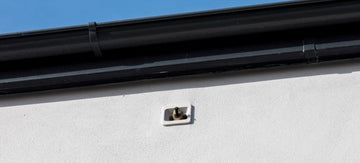 Sparrow nesting in a swift block