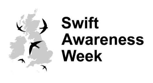 swift awareness week logo