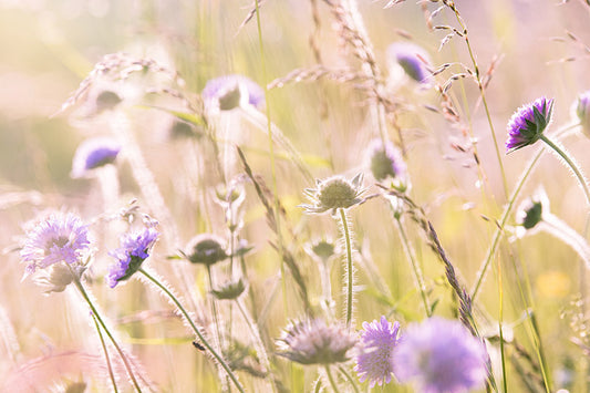 5 New Years Resolutions to help save the world.
