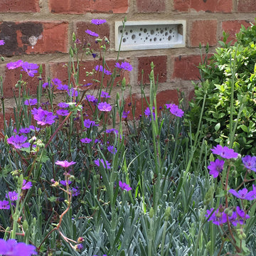 Green&Blue Bee Brick in Alitex greenhouse at RHS Chelsea flower show