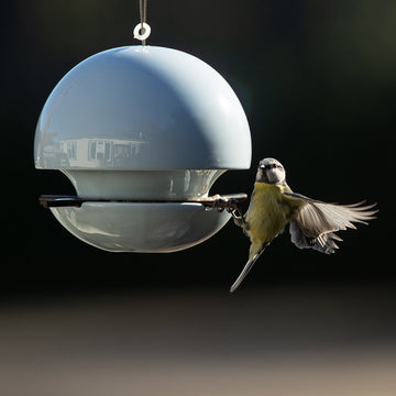 Green&Blue Seed Feeder