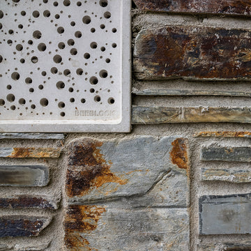 Bee Brick in a cornish stone wall