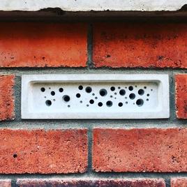 Bee Brick bee house in a brick wall