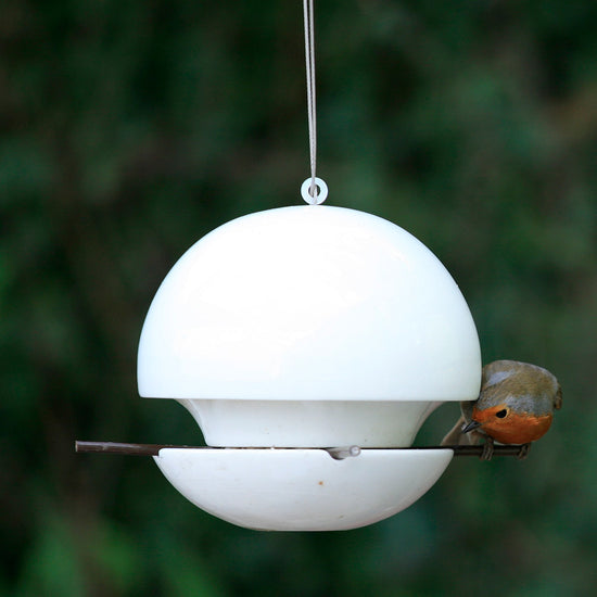 Robin perched on Green&Blue birdball seed bird feeder