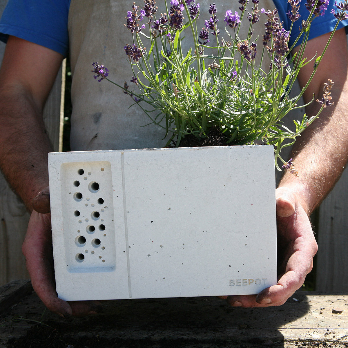 Concrete Planter and Bee House – ©Wildcare Ltd ®Green&Blue ®BeeBrick are trade marks of Wildcare Ltd.