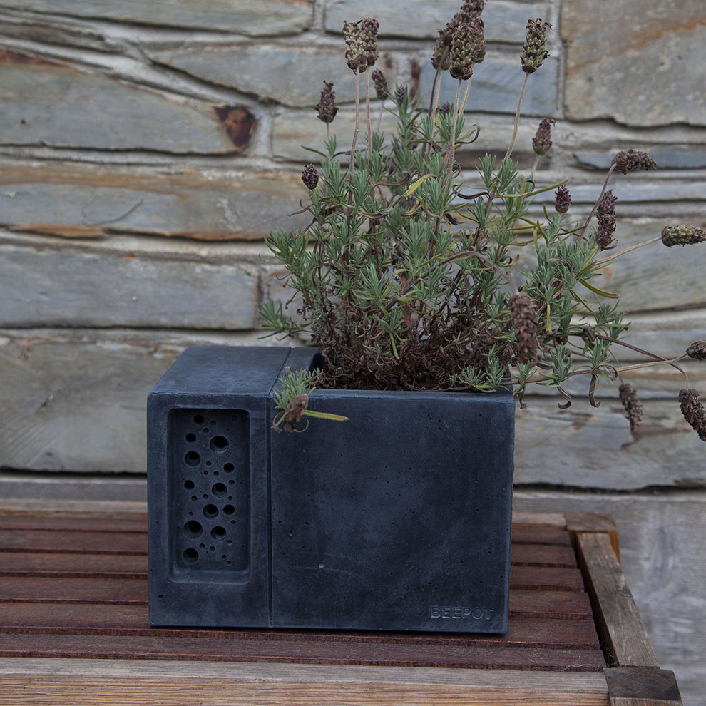 Beepot Large Concrete Planter and Bee House – Green&Blue