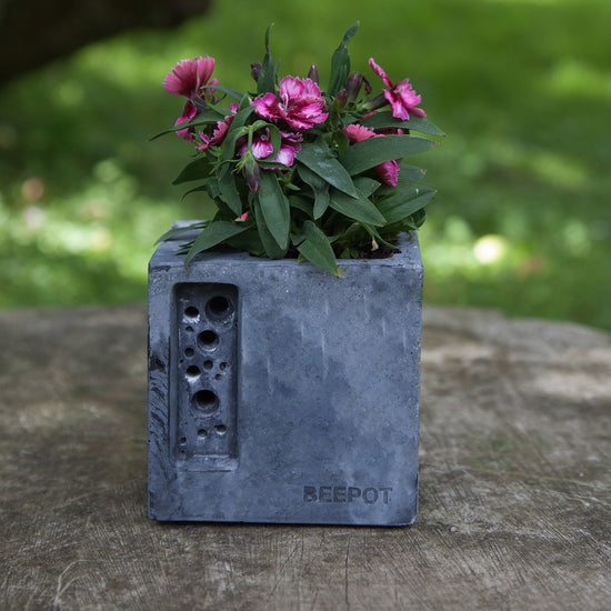 concrete beepot mini bee hotel stylish concrete planter in charcoal