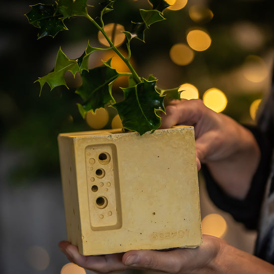 Beepot mini bee house and planter – Green&Blue