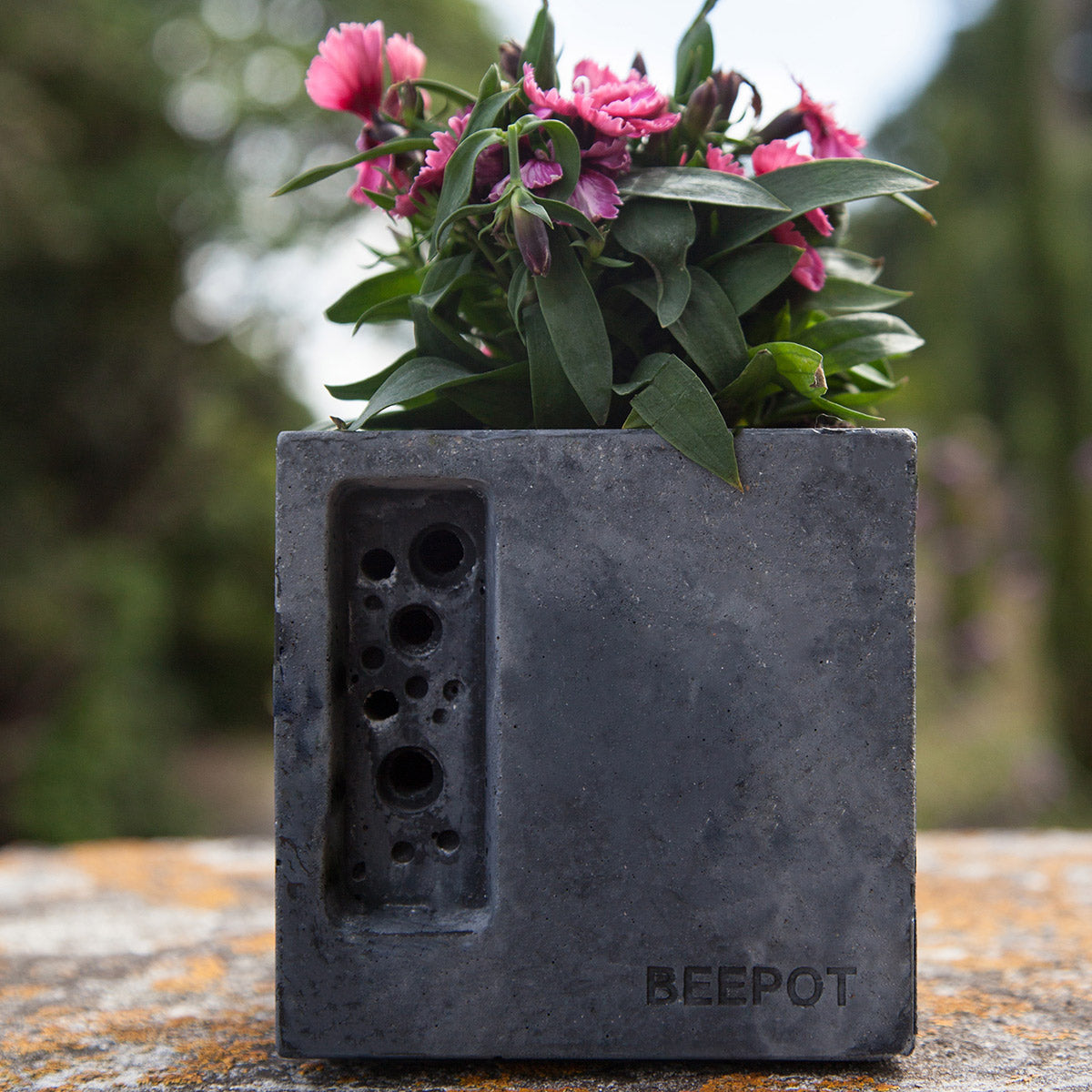 charcoal concrete bee hotel with space for bee friendly planting