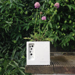 concrete bee hotel and planter with bee friendly planting