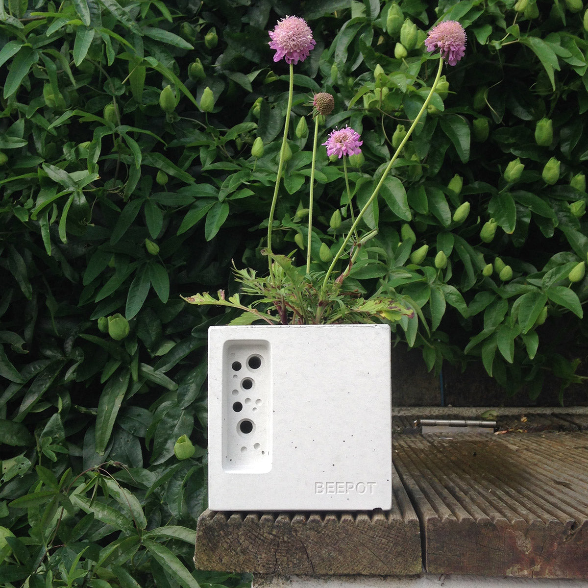 concrete bee hotel and planter with bee friendly planting