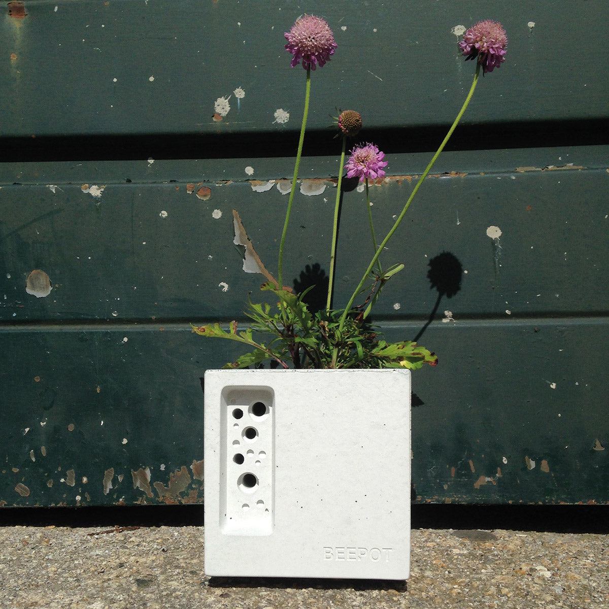 beautiful concrete planter and bee house