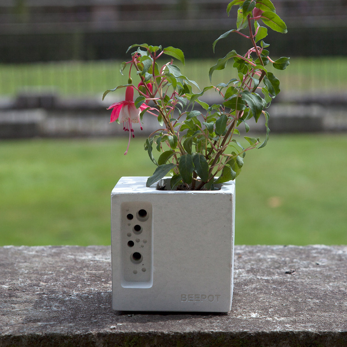 concrete planter and bee house with fuscia planted 