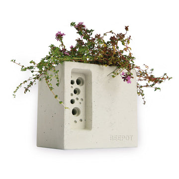 beepot mini stylish bee hotel and concrete planter