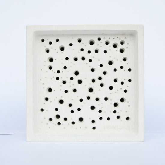 white background shot of large bees block